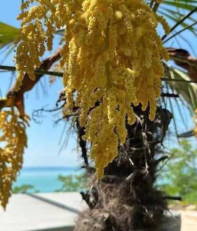 Βίλα Navagarden-panorama Rest And