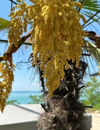 Vila Navagarden-panorama Rest And